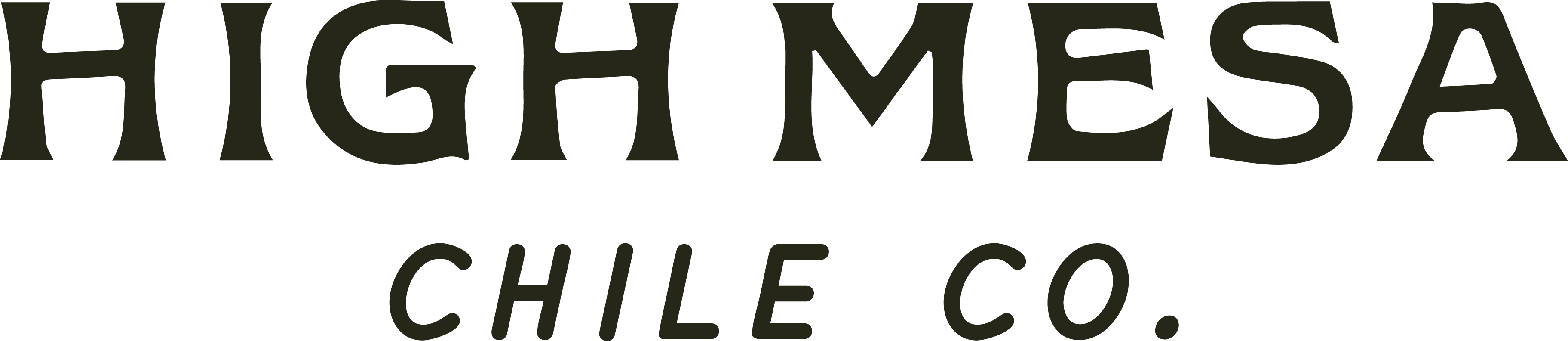 High Mesa Chile Co. logo
