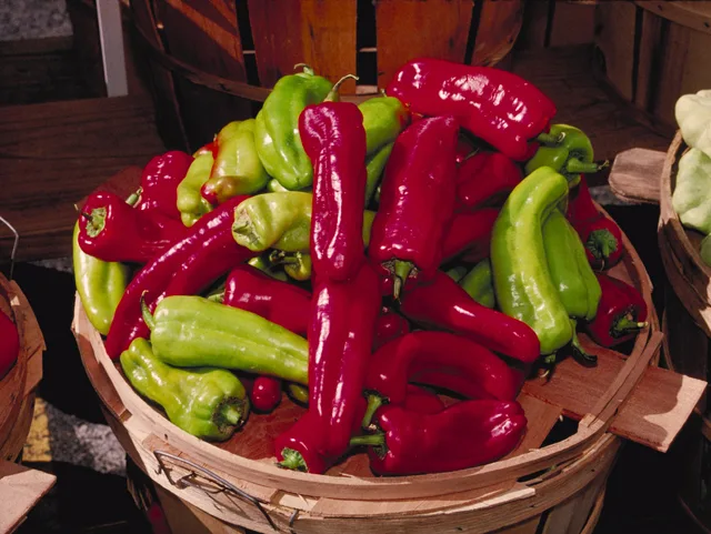 Piment Cubanelle