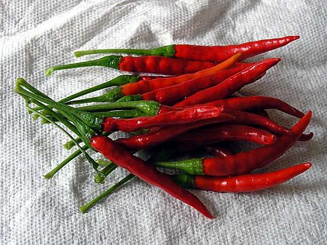 Piment De Árbol