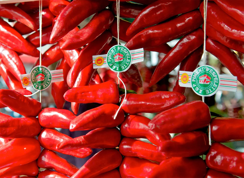 Espelette pepper pepper