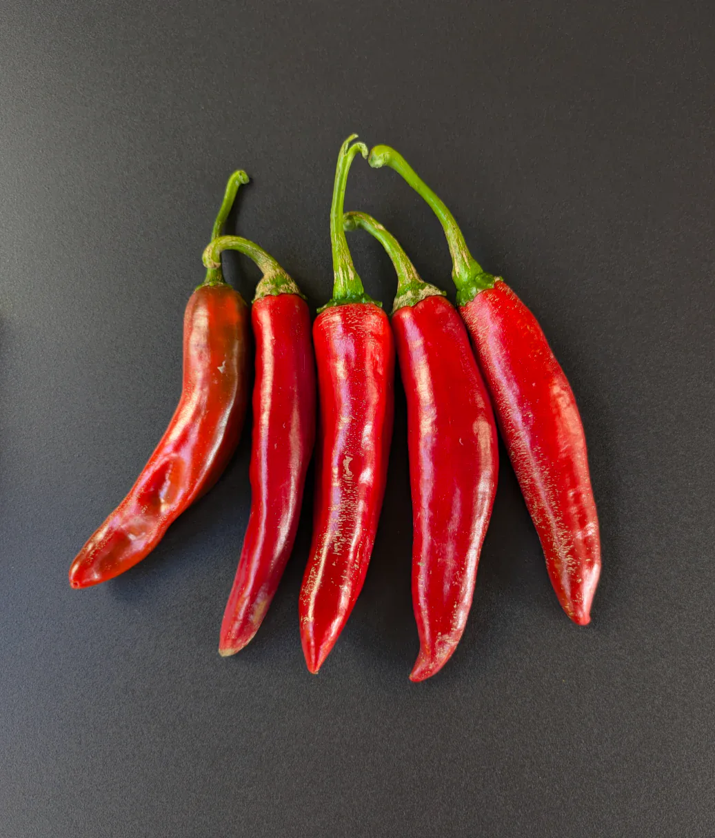 Guajíllo pepper