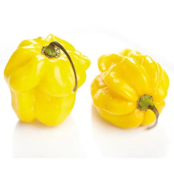Habanero Golden pepper