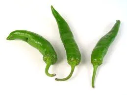 Piment Mississippi Sport
