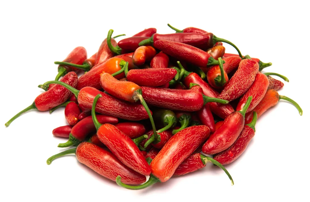 Piment NuMex Vaquero