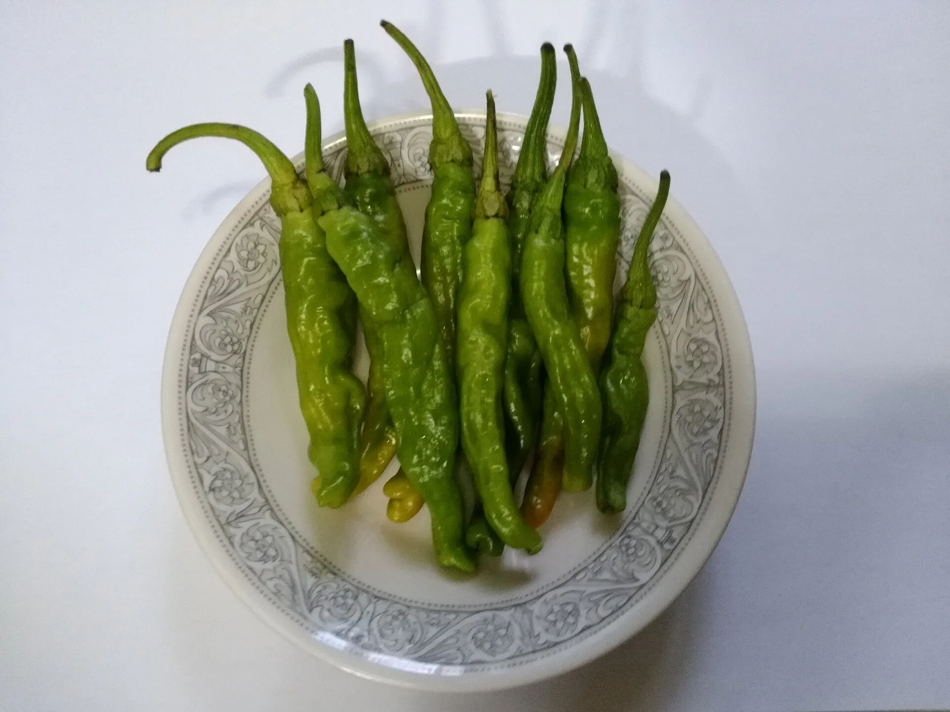Piment Shishito